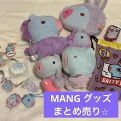 BTS BT21 マン MANG J-HOPE ぬいぐるみ 公式 28cm - メルカリ