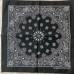 Item thumbnail for item 53670b70-3f0f-4290-8525-5a40a096c89e