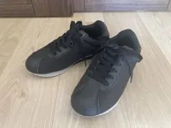 Item thumbnail for item 5b133561-2bc7-483e-9fd1-751ff1321f12