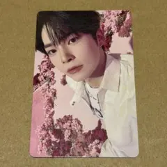 ハンビン　トレカ　横浜　会場　3/24 ゆらゆら　ゼベワン　ZB1 2