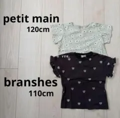 branshes petit main Tシャツセット売りのサムネイル