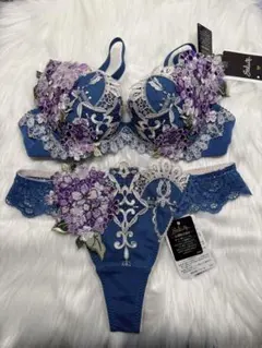 WACOALサルート49g店舗限定　ブラＣ65＆ＴソングＭ