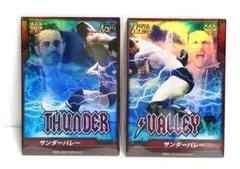訳あり　プロレスカード　プロレスリング ノア　マイキーニコルス　シェインヘイスト