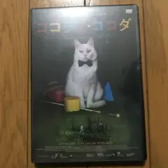 ココディ・ココダ('19スウェーデン/デンマーク)