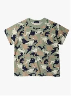 Item thumbnail for item fdbdd033-252f-4da6-9fb2-f5608cfdd509