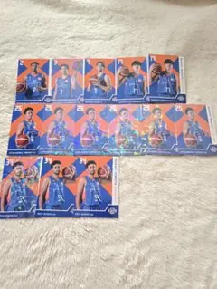 茨城ロボッツ 断捨離中 トレカ