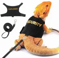 爬虫類 ハーネス リード フトアゴヒゲトカゲ アオジタ 小動物 散歩 ベスト服黒のサムネイル
