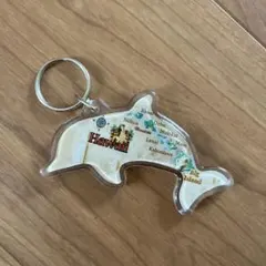 Hawaii イルカ キーホルダー リアルシェル入り - メルカリ