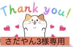 韓国たわし　スセミ　エコたわし　アクリルたわし　A-3のサムネイル