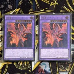 流星竜メテオ・ブラック・ドラゴン レリーフ ２枚