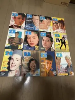 別冊宝島 24冊セット サブカルチャー アングラ 雑誌 絶版 レア カルチャー誌 別冊宝島 24冊セット サブカルチャー アングラ 雑誌 絶版 レア