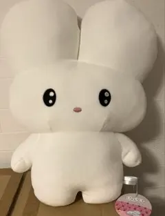 beco+81 しりみみうさぎ もっちるBIGぬいぐるみ