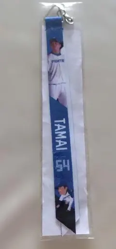 北海道日本ハムファイターズ☆玉井大翔☆ボンフィンのサムネイル