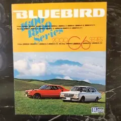 Item thumbnail for item cc4c828e-c8bf-47cf-a1af-1249bcf65505