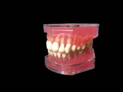 Item thumbnail for item c02bbef6-044d-4409-b876-eb8cde4f01cc