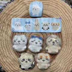 ちいかわお座りぬいぐるみ2全5種未開封ちいかわハチワレうさぎラッコシーサー