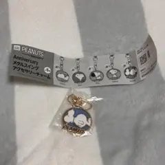 スヌーピー メタルスイング アクセサリーチャーム PEANUTS パープル 紫