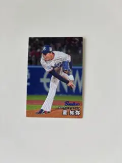 プロ野球チップス2026 星知弥 東京ヤクルトスワローズ