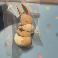 イーブイ　ポケモンスリープ　シアンの砂浜