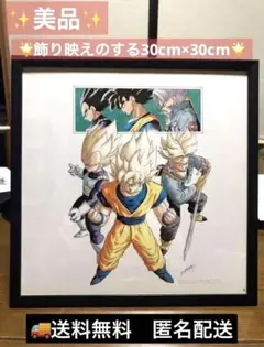ドラゴンボール イラスト 悟空 悟飯 親子かめはめ波 30cm×30cm - メルカリ