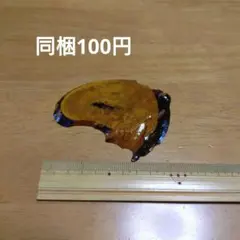 天然木製　飾り台　花置き　花台　インテリア置台　敷板　台座 不規則形状プレート