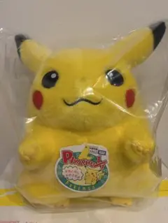 おかえりピカチュウ1/1