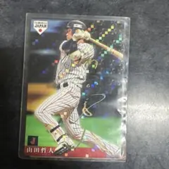 プロ野球チップスカード　東京ヤクルトスワローズ14枚セット2018〜