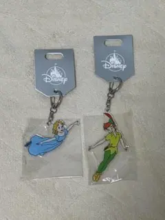 ディズニー　ストア　ピーターパン　ウェンディ アクリルキーホルダー