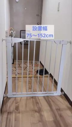 Item thumbnail for item 3dab2a13-277c-4bb2-98d9-60d2887f9769