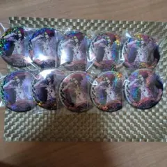 ワンピース コラソン ロシナンテ 輩缶バッジ SHINE 10点