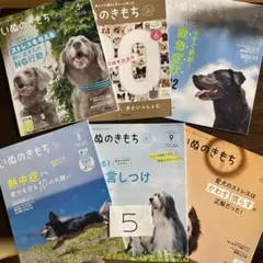 いぬのきもち 9号 セット 2025年最新】いぬのきもち 9月号の人気アイテム - メルカリ