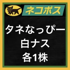 アルダ様 リクエスト 2点 まとめ商品