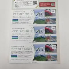 アクティビティ割引券 3枚セット スキー場