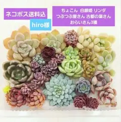 hiro様 リクエスト 5点 まとめ商品