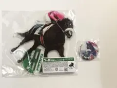 ダービー馬列伝くじ あたり賞 BIGアクリルスタンド ナリタブライアン