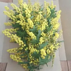 A&F様 リクエスト 3点 まとめ商品