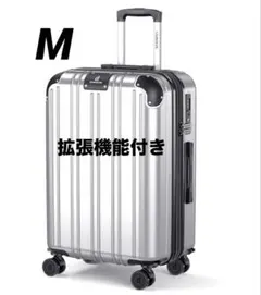 Item thumbnail for item 5f07fc93-adea-40b8-8d54-50180eb22ea7