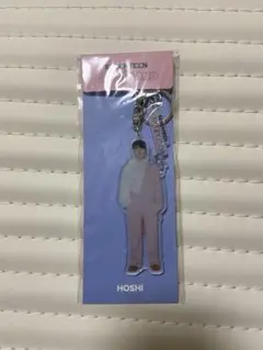 SEVENTEEN セブチ ホシ アクスタ まとめ売り SEVENTEEN セブチ HOSHI ホシアクリルスタンド アクスタ - メルカリ