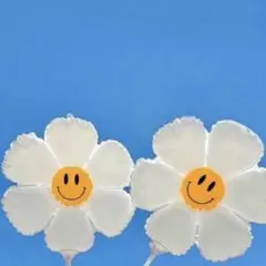 専用