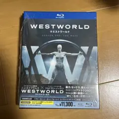 ウエストワールド ファースト・シーズン コンプリート・ボックス〈初回限定生産・…