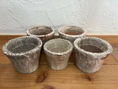 2026年最新】錦玉園の人気アイテム - メルカリ