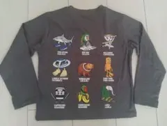 Item thumbnail for item c1a513aa-8aeb-429f-8fb7-27a4d7d57d3d