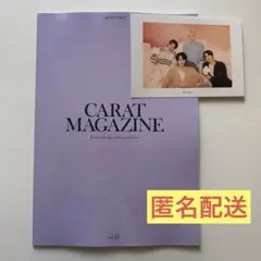 【匿名配送】SEVENTEEN セブチ 会報誌 96 ポストカード