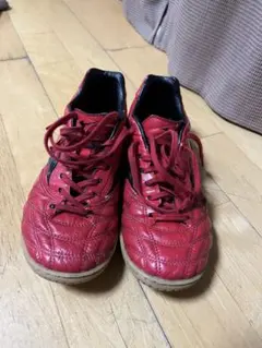 ミズノ モナルシーダSALA PRO 25cm