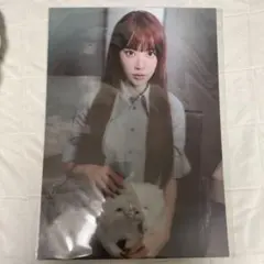 Item thumbnail for item a4d1d2b8-fd0a-4763-869b-678d5dde59ca