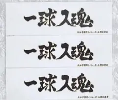 Miyuu様 リクエスト 3点 まとめ商品