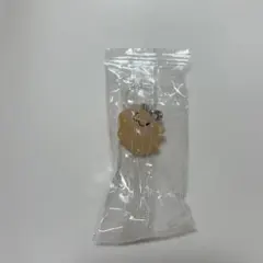 treasure TRUZ めじるしアクセサリー RURU ハルト