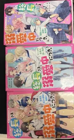 総長さま、溺愛中につき。2巻〜4巻（９巻まで所有他巻と組み合わせ変更可能）