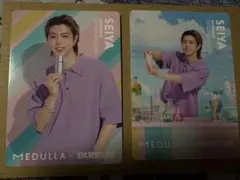 BUDDiiS SEIYA MEDULLAメデュラ トレカ 2枚セット
