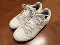 Item thumbnail for item 72899e38-6024-459c-b5ed-074a478215bd